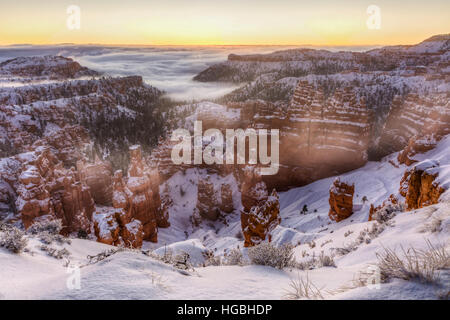 The sun about to rise out of the a fog bank over the snow shrouded hoodoos  in Bryce Canyon National Park, Utah Stock Photo