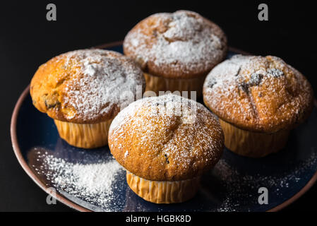 Chocolate muffins with powdered sugar on dark blue plate. Stock Photo