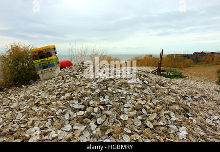 Oyster shells by the sea in Whitstable Stock Photo