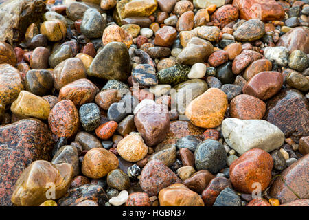 Many large and small pebbles stones, on a beach, island Ruegen, baltic coast, Germany Stock Photo
