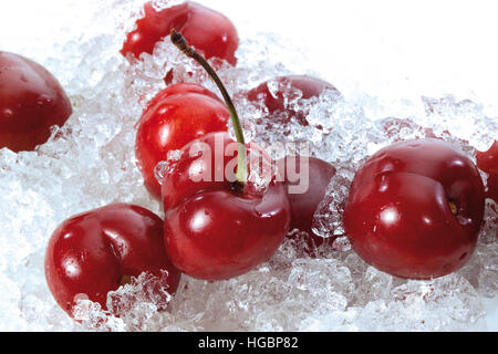 Sour cherries on crushed ice Stock Photo