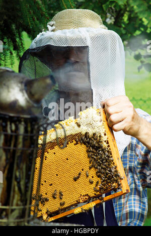 Beekeeper wearing protective clothing holding honeycomb in front of bee smoker