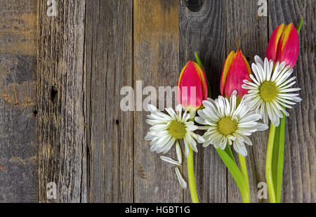 red tulips and white daisies on rustic wood Stock Photo