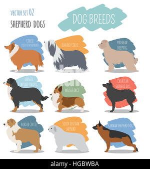 Dog breeds. Shepherd dog set icon. Flat style. Vector illustration Stock Photo