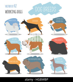 Dog breeds. Working (watching) dog set icon. Flat style. Vector illustration Stock Photo