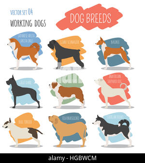 Dog breeds. Working (watching) dog set icon. Flat style. Vector illustration Stock Photo