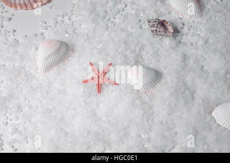 Red starfish lying in the salt on the sea bottom with seashells Stock Photo
