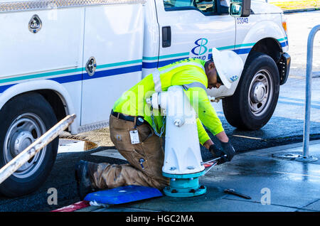 A fire hydrant broken off by a truck creates a geyser and small flood in San Leandro California Stock Photo