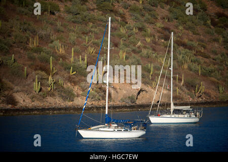 Sailing boats anchoreds in Puerto Escondido in Sea of Cortes, Baja California Sur, Mexico. Stock Photo