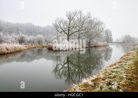 Trees and bushes white of frost on the river banks of the Kromme Rijn (Crooked Rhine) on a cloudy day in winter. The Netherlands. Stock Photo