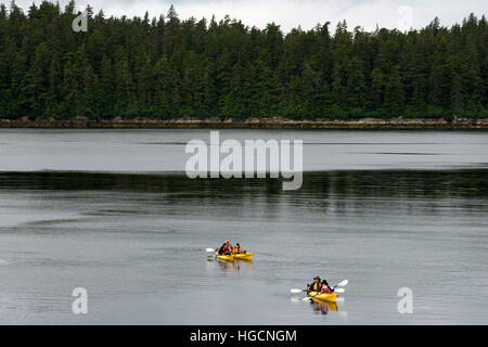 Passengers of cruise ship Safari Endeavour sea kayaking at Reid Glacier in Glacier Bay National Park. Enjoy an evening at anchor, and mornings spent p Stock Photo