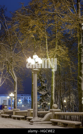 Walk of the city at night in winter. Alley with lights, trees, garlands ...