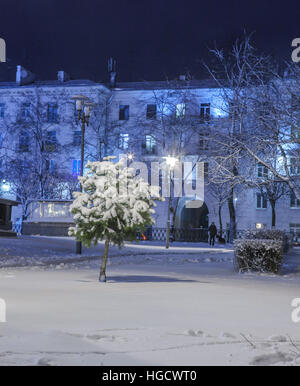 Walk of the city at night in winter. Alley with lights, trees, garlands ...