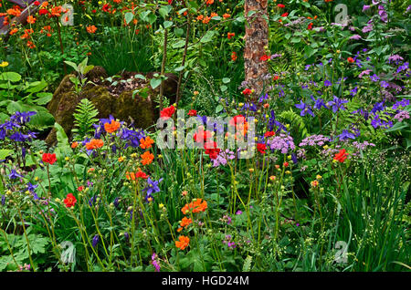 Colourful mixed planted flower border, meadow including Dahlias, Clematis and Ferns Stock Photo