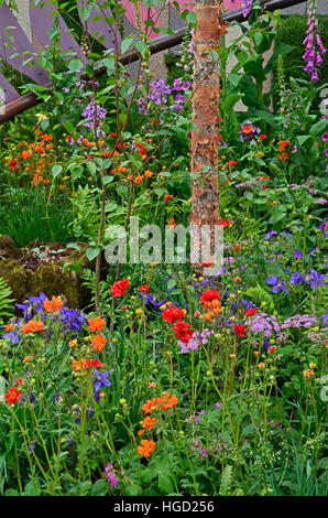 Colourful mixed planted flower border, meadow including Dahlias, Clematis, poppies  and Ferns Stock Photo