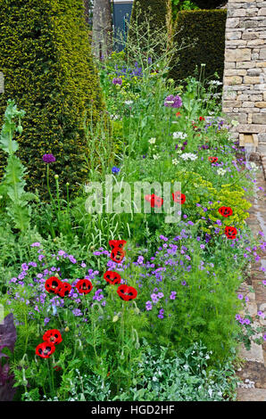 Colourful mixed planted flower border including Ladybird Poppies, Allium and grasses, Stock Photo