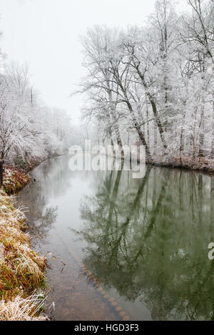 Trees and bushes white of frost on the river banks of the Kromme Rijn (Crooked Rhine) on a cloudy day in winter. The Netherlands. Stock Photo