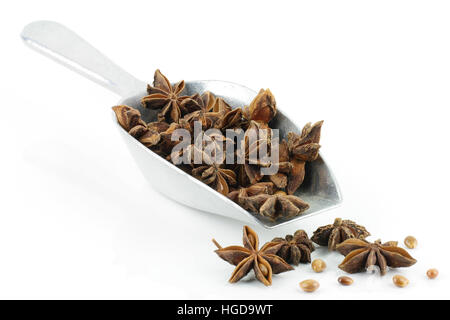 Star anise in an aluminium grocery scoop. On a white background. Stock Photo