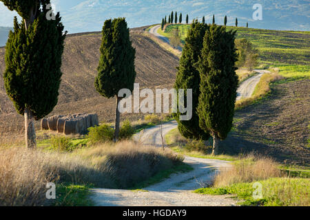 Winding farm track leading to county villa near Pienza, Tuscany, Italy Stock Photo