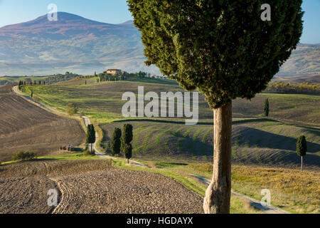 Winding farm track leading to county villa near Pienza, Tuscany, Italy