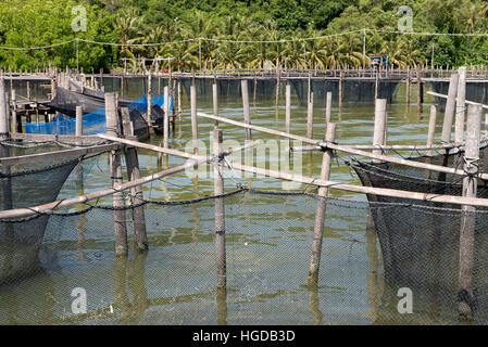 Thailand, Songkhla, Koh Yo, Aquacultural farm, Freshwater fish Stock Photo