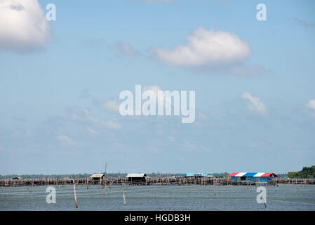 Thailand, Songkhla, Koh Yo, Aquacultural farm, Freshwater fish farming Stock Photo