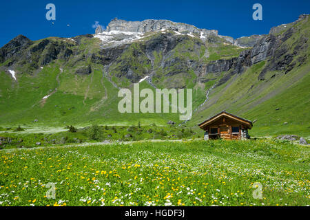 Bern, Bernese Oberland, Birg, Blumental Stock Photo