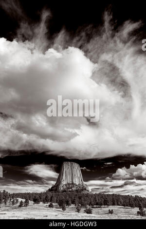 WY02258-07...WYOMING - Devils Tower viewed from the Joyner Ridge- Red Beds Trail in Devils Tower National Monument. Stock Photo