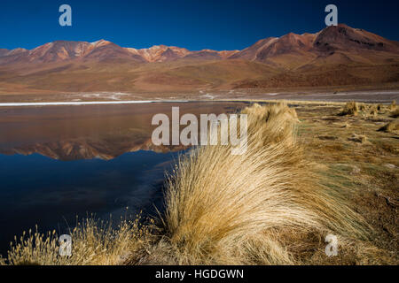 Laguna Canapa in the Siloli desert, Stock Photo