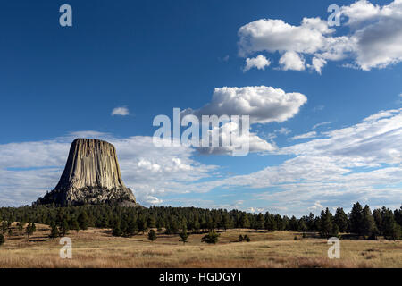 WY02274-00...WYOMING - Devils Tower viewed from the Joyner Ridge Loop Trail in Devils Tower National Monument. Stock Photo