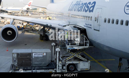 Loading Lufthansa Boeing 747 Frankfurt Airport Germany Stock Photo - Alamy