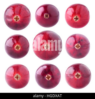 Isolated cranberries. Collection of fresh cranberry fruits of different color isolated on white baclground with clipping path Stock Photo