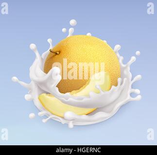 Melon and milk splash. Fruit and yogurt. Realistic illustration. 3d vector icon Stock Vector