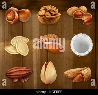 Nuts in the shell. Peanuts, pistachio, hazelnut, cocoa, walnut. Vector icon set Stock Vector