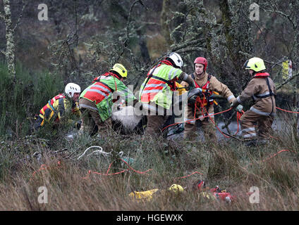 Nemo, a Shetland pony, is rescued by the Scottish Fire and Rescue Service after it became stranded in a swollen river near Lochard Road, Aberfoyle. Stock Photo