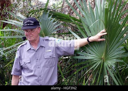 A Florida park service volunteer, wearing a microphone, describes a sabal palm seedling. Gamble Rogers State Recreation Area Stock Photo