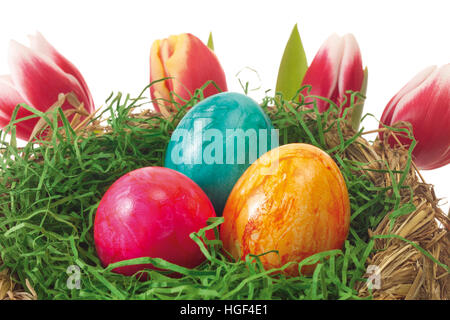 Easter nest with colourful eggs and tulips in the background Stock Photo