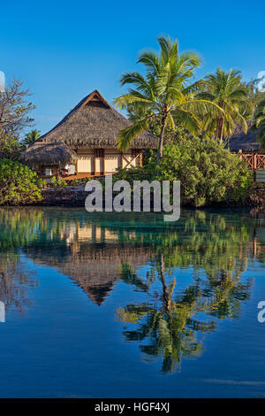 Bungalow with palm trees by the water, reflection, Mo'orea, French Polynesia Stock Photo