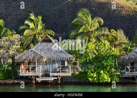 Bungalow with palm trees by the water, reflection, Mo'orea, French Polynesia Stock Photo