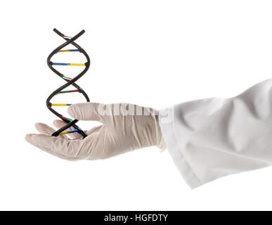 Researcher with glove holding DNA molecule model isolated on white background Stock Photo