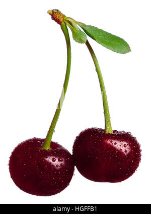 Two sweet cherries with water drops Stock Photo