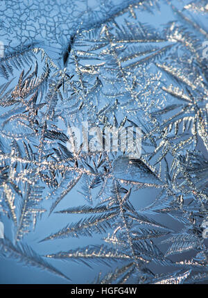 Close up of ice crystals forming intricate leafy patterns on a window with blue sky in the background. Shallow depth of field. Stock Photo