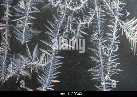 Close up of white, leaf or fern like ice crystals on a window pane with a dark gray background. Shallow depth of field. Stock Photo