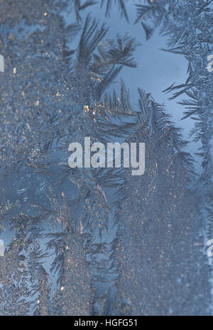 Close up of ice crystals with intricate leafy pattern on window pane with blue sky in background. Shallow depth of field. Stock Photo