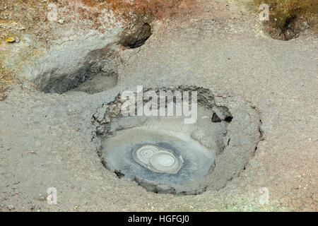 Mudpot in the Uzon Caldera. Kronotsky Nature Reserve Stock Photo