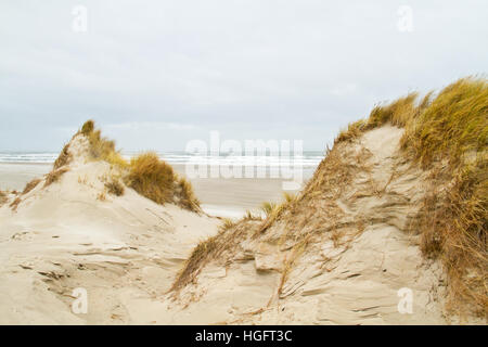 View on beach and shore between two dunes, grown with Marram grass, on a windy day in winter Stock Photo