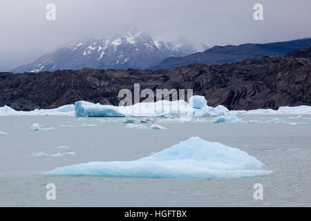 Icebergs on Lago Argentino, El Calafate, Parque Nacional Los Glaciares, Patagonia, Argentina, South America Stock Photo