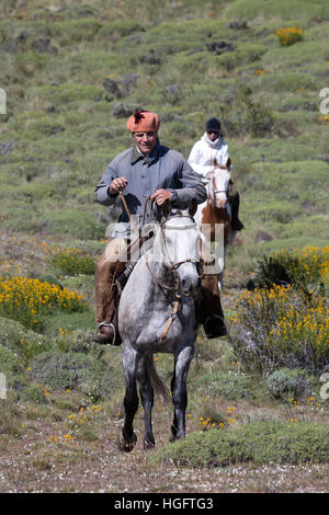 Gaucho guide and tourist on horse at Estancia Alta Vista, El Calafate, Parque Nacional Los Glaciares, Patagonia, Argentina, South America