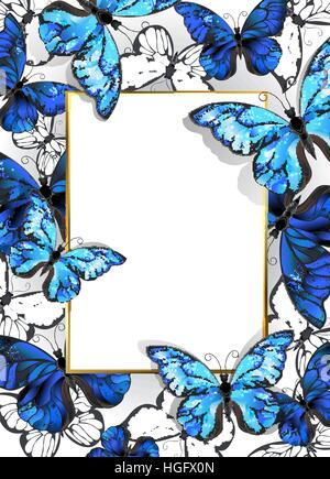 blue butterfly border designs