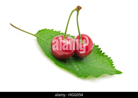 cherries on leaf isolated on white Stock Photo